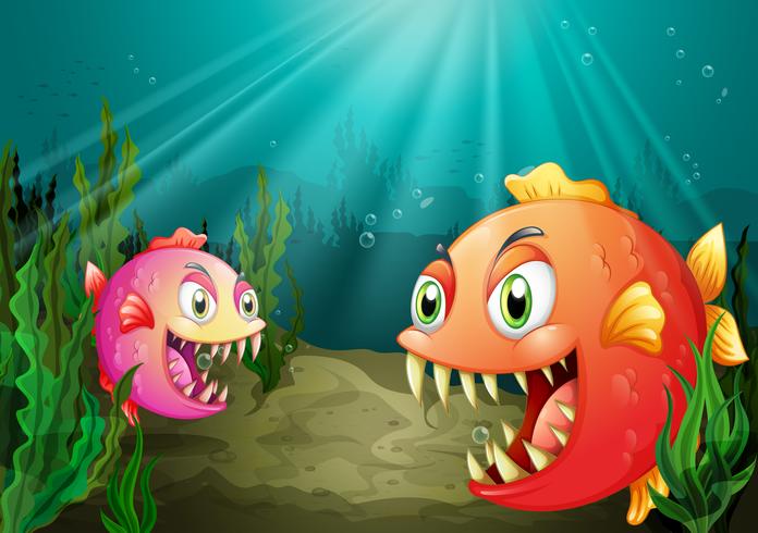 A small and a big fish vector