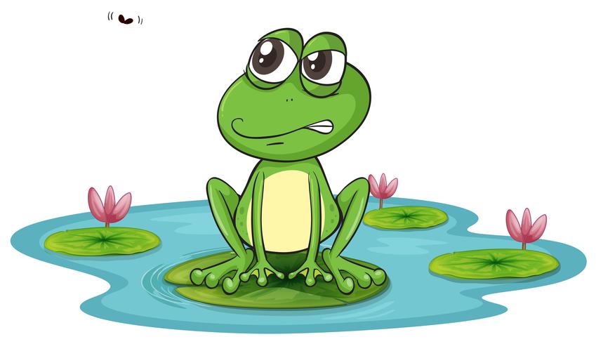 a frog and a water vector