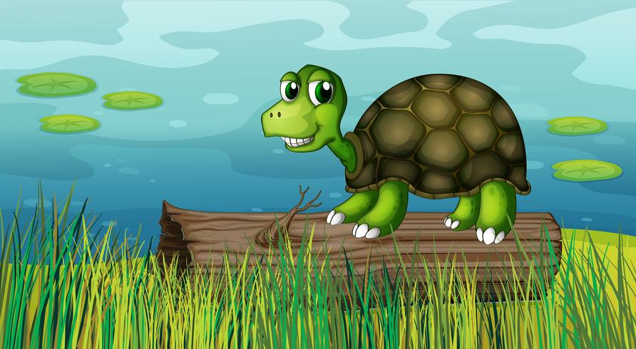 A turtle above a wood at the riverbank vector
