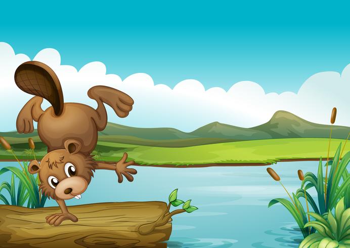 A beaver beside a river vector