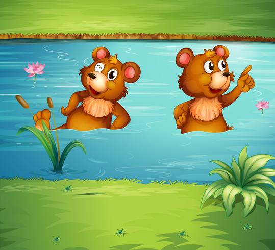 Two animals in the pond vector