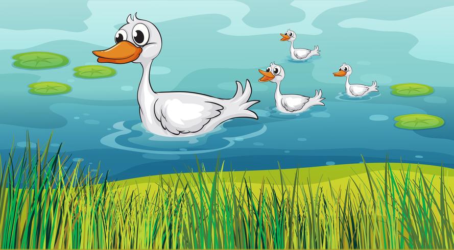Little ducks following the mother duck vector
