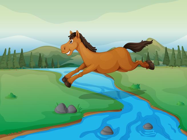 Horse crossing the river