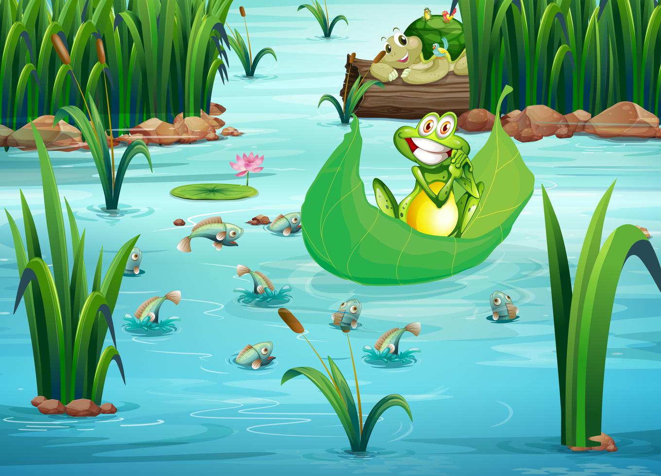 A playful frog and a turtle at the pond 523066 Vector Art at Vecteezy
