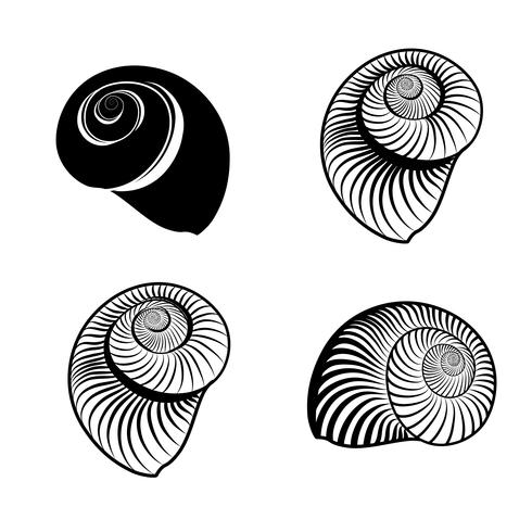 Seashell nautilus engraved signs. Marine life animal set vector