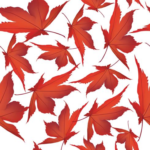 Fondo de hojas de otoño. Patrón floral sin fisuras Naturaleza de la hoja de otoño vector