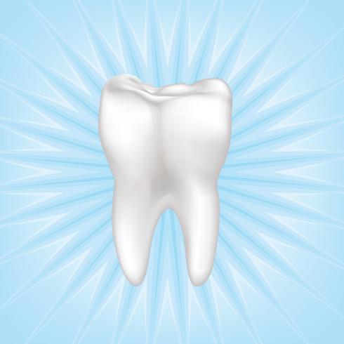 Tooth isolated. Teeth white sign. Dental medical illustration. vector