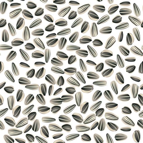 Sunflower seeds seamless background. Food ingredient floral pattern vector