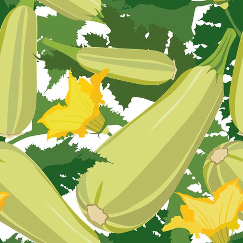Vegetable squash seamless pattern. Healthy food background. vector