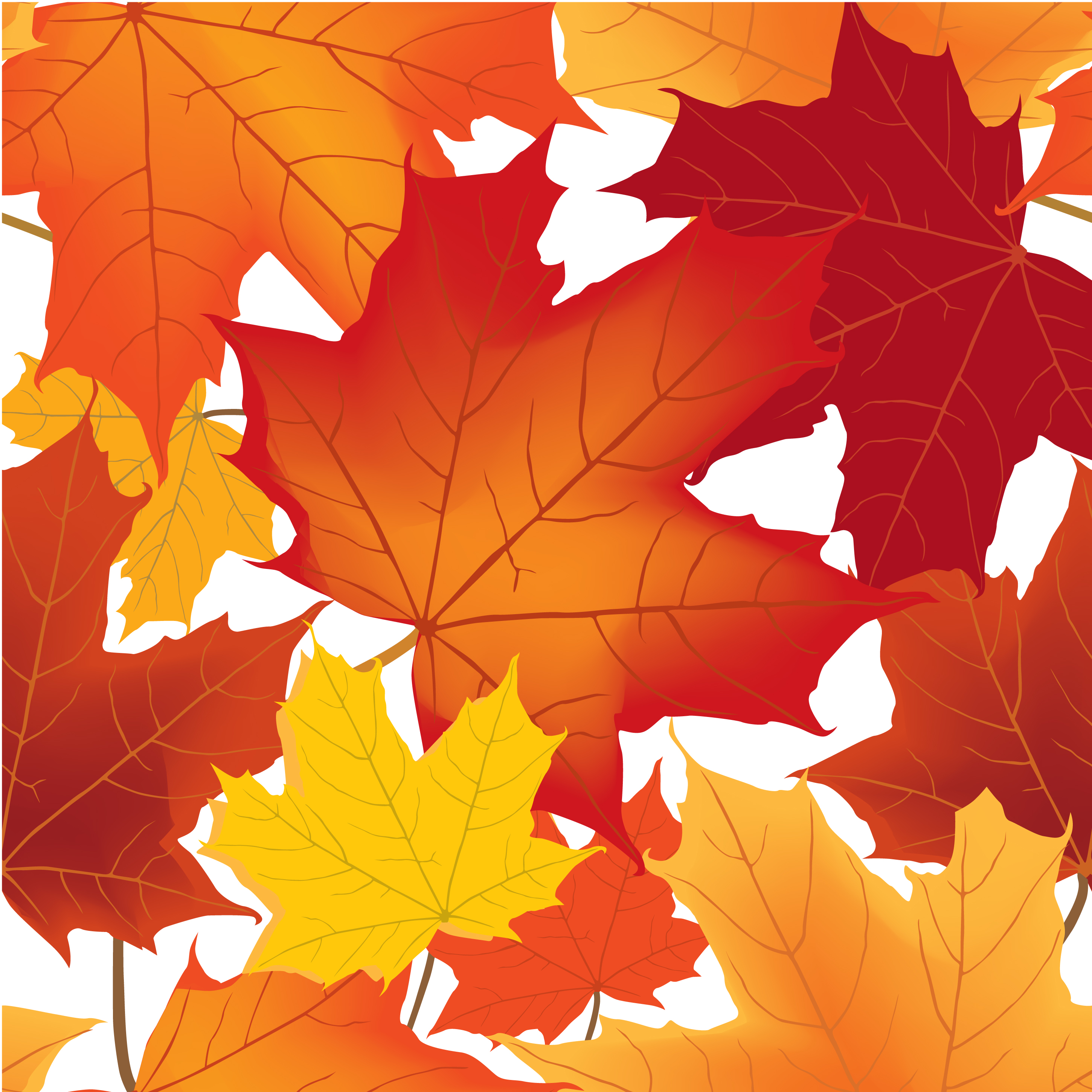 Autumn maple leaves seamless pattern Floral background 524174 Vector