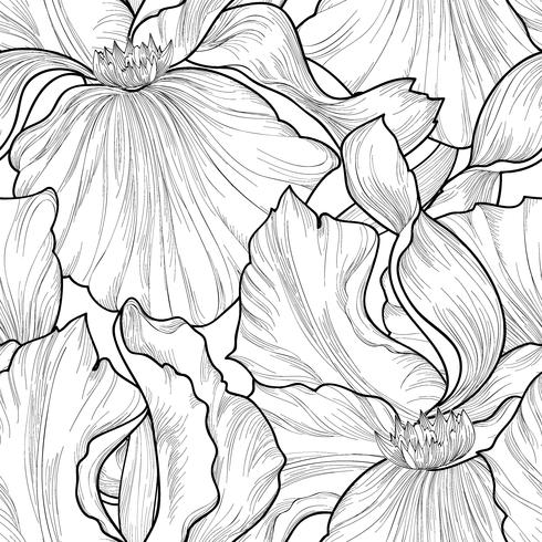 Floral seamless pattern. Flower iris engraving background. vector