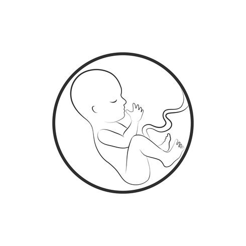 Signo de feto. Icono fetal. Embrión de diez semanas. Etapa de embarazo vector