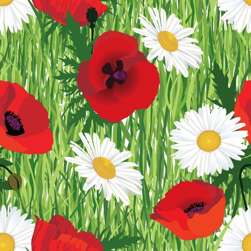 Floral seamless pattern. Meadow summer flowers vector