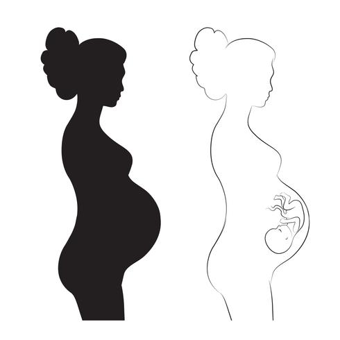 Mujer embarazada con feto. Hermosa mujer con embrión. vector