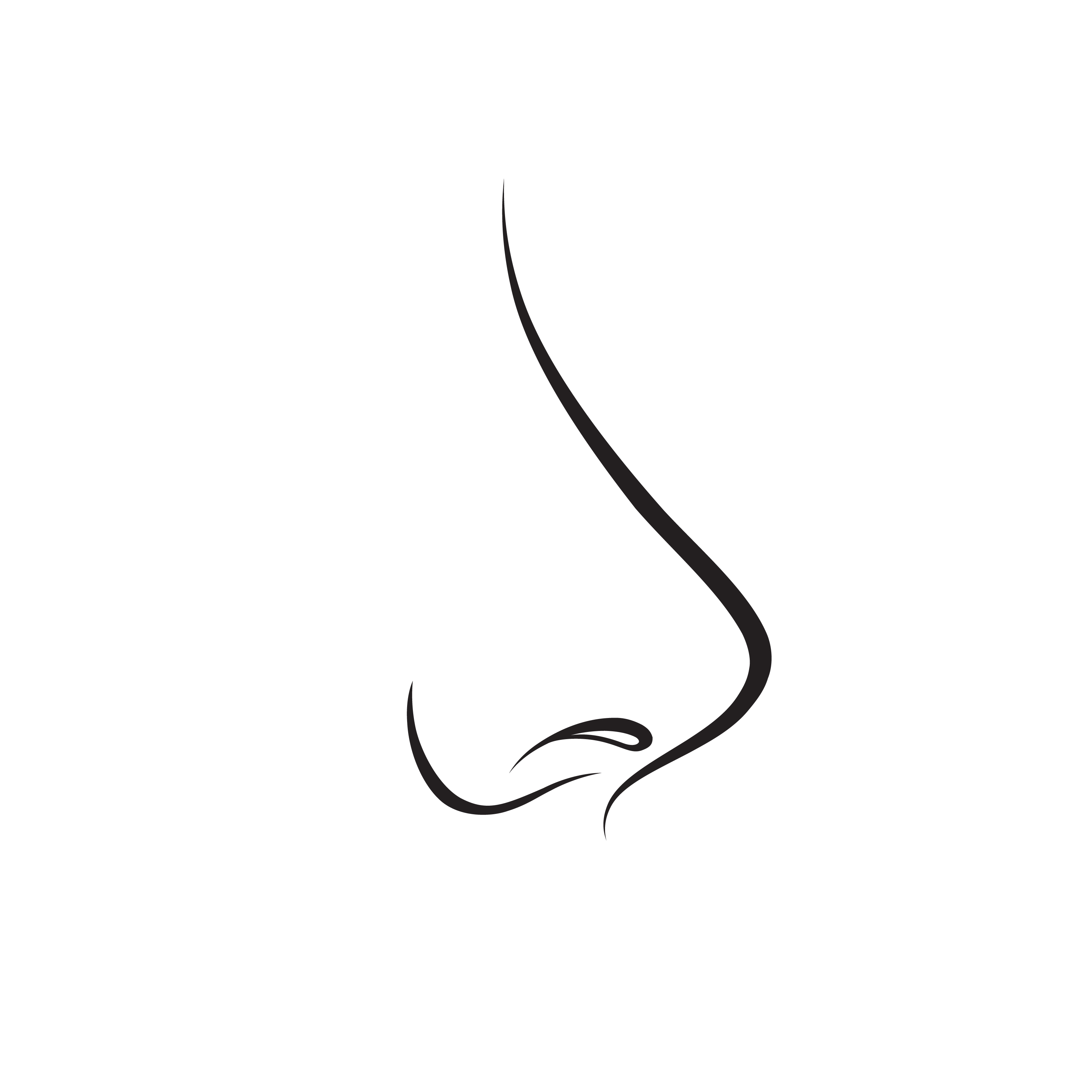 Nose isolated. Human nose icon. Vector illustration 524343 Vector Art