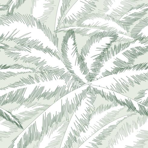 Floral pattern palm tree leaves. Nature spring textured background. vector