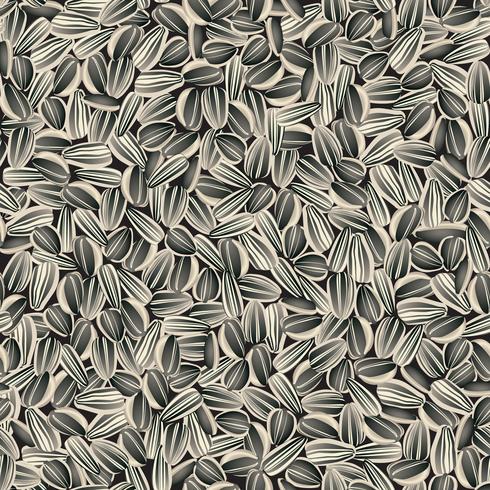 Sunflower seeds seamless background. Food ingredient floral pattern vector