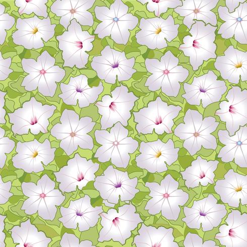 Patrón floral. Flor de fondo sin fisuras. Floreciente jardín ornamental. vector