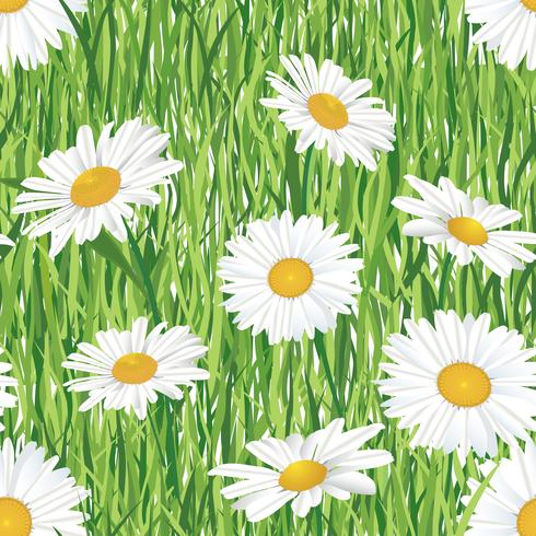 Floral seamless pattern. Meadow summer flowers vector