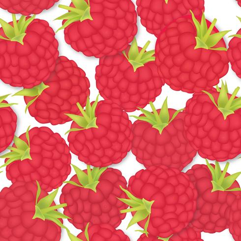 Berry pattern. raspberry seamless background. Food ingredients vector