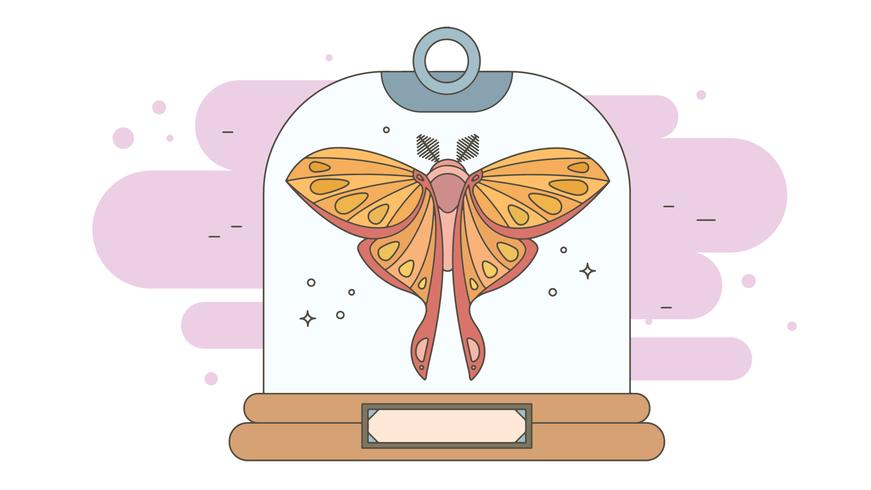 Rare Specimen Vector