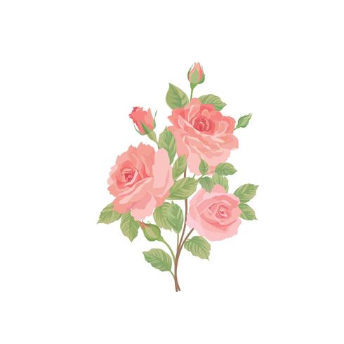Flower bouquet. Floral frame. Flourish greeting card. Summer decor vector