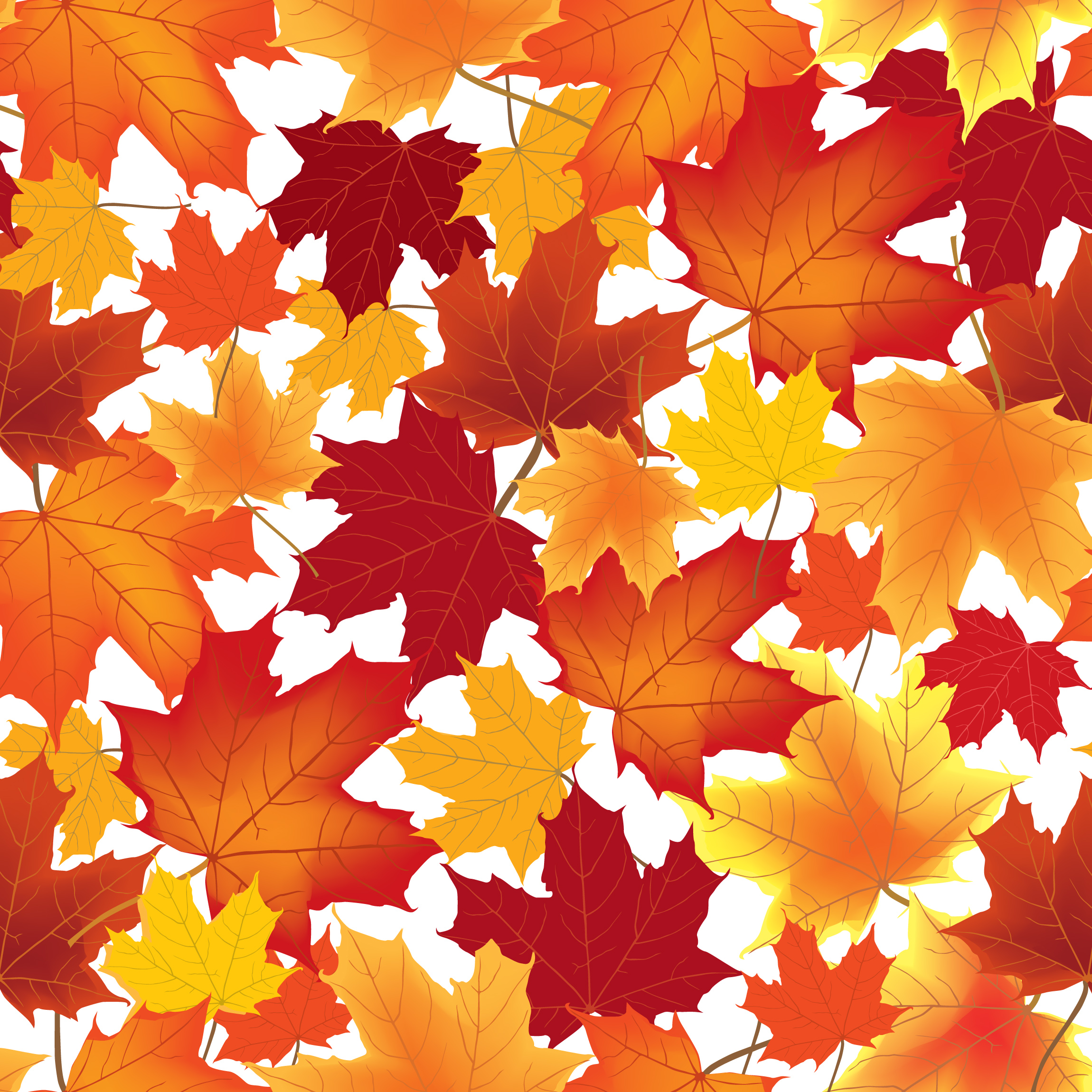 Autumn maple leaves seamless pattern Floral background 524597 Vector