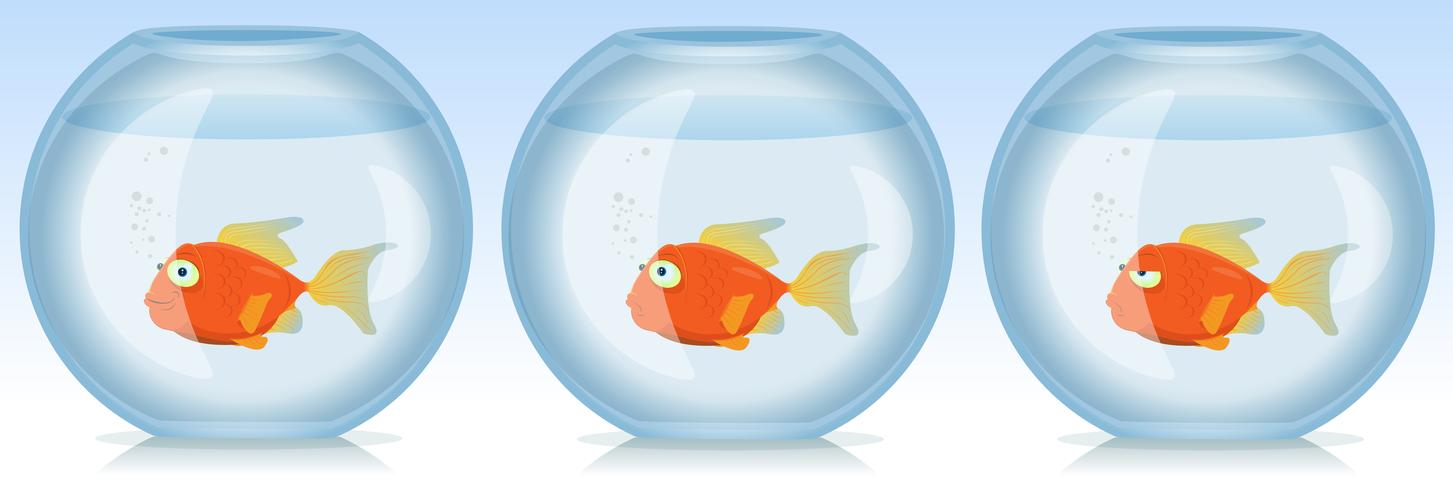 Gold Fish Life And Times In Aquarium vector