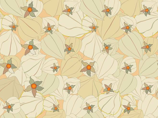 Floral fall seamless pattern Physalis background. Flourish garden texture vector