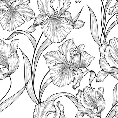 Floral seamless pattern. Flower iris engraving background. vector