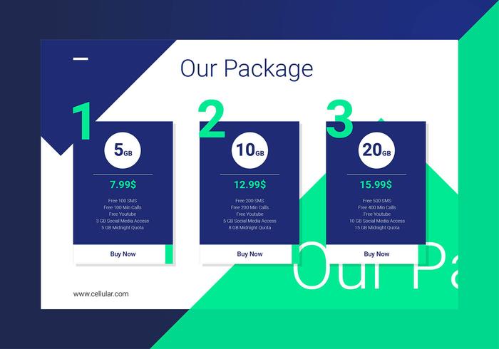 Pricing Table Cellular Provider Interface Template vector