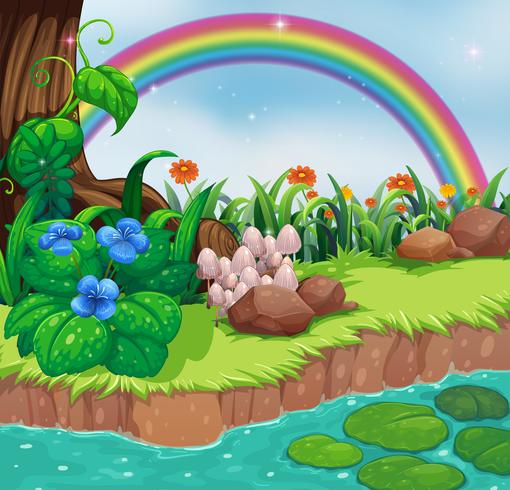 A riverbank with flowers and a rainbow