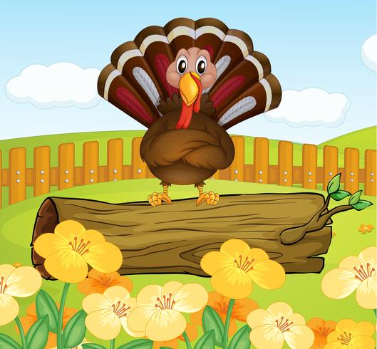 A trunk with turkey inside the fence vector