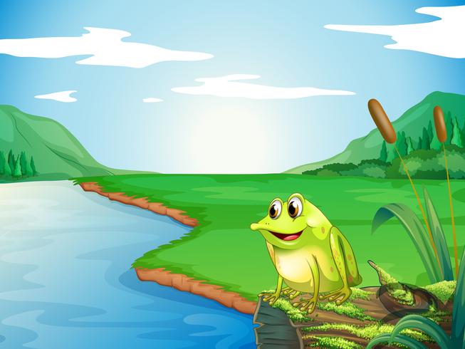 A frog at the riverbank vector