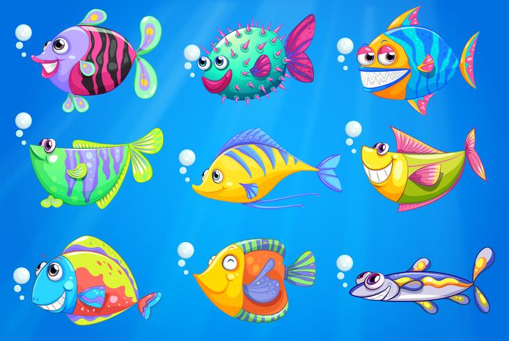 Nueve peces de colores bajo el mar. vector