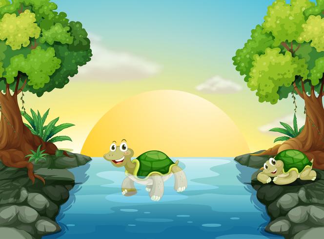 A smiling turtle at the river vector