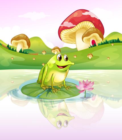 A frog above a waterlily vector