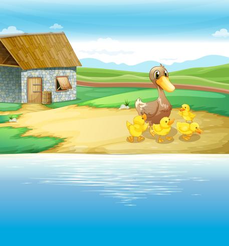 A family of duck near the river vector