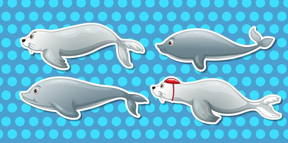 Otter and dolphin vector