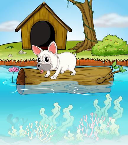 A dog above a floating trunk vector