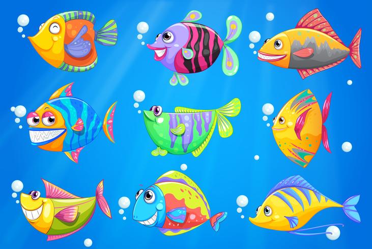 Un océano con nueve peces de colores. vector