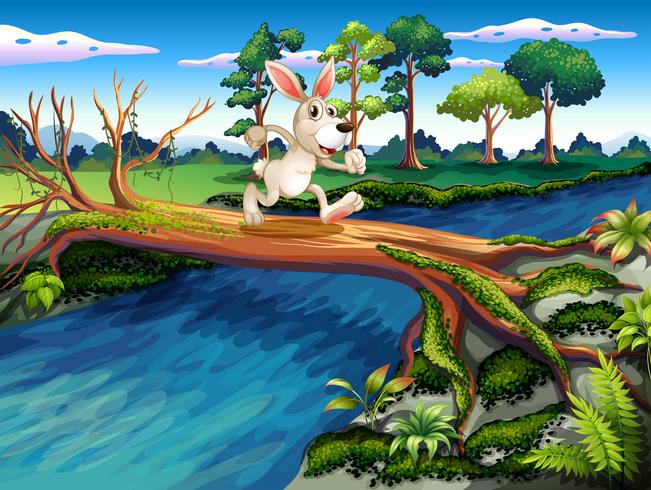 A rabbit crossing the river vector