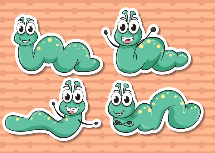 Worm set vector