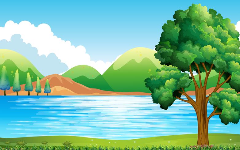 Lake and park vector