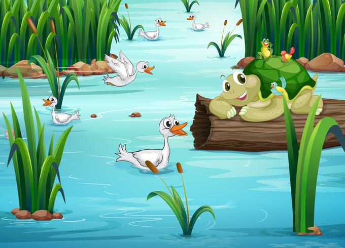 Animals and pond vector