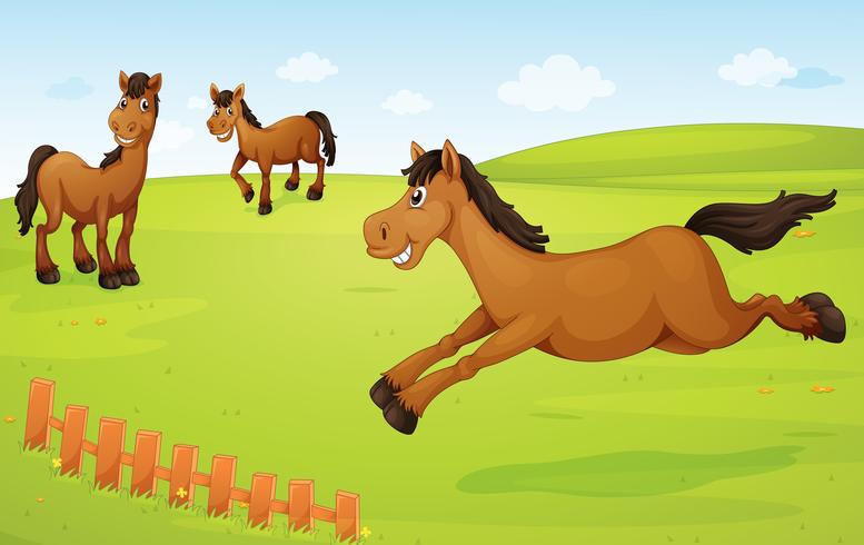 horses on meadow vector