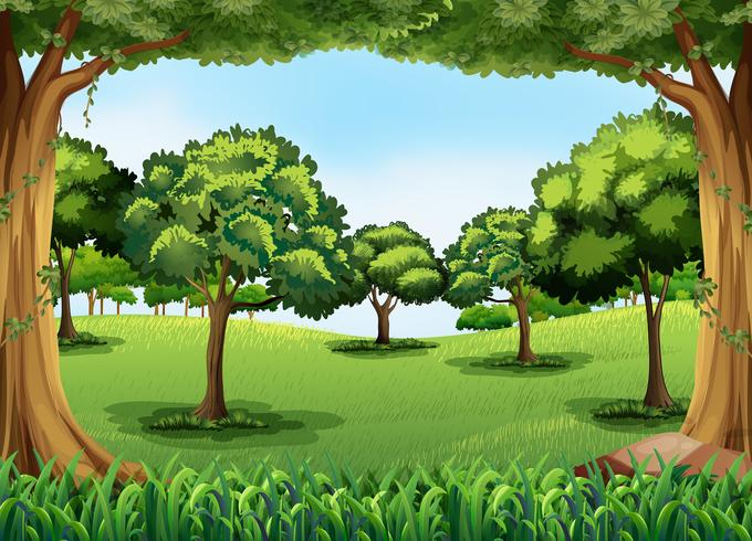 Bosque vector