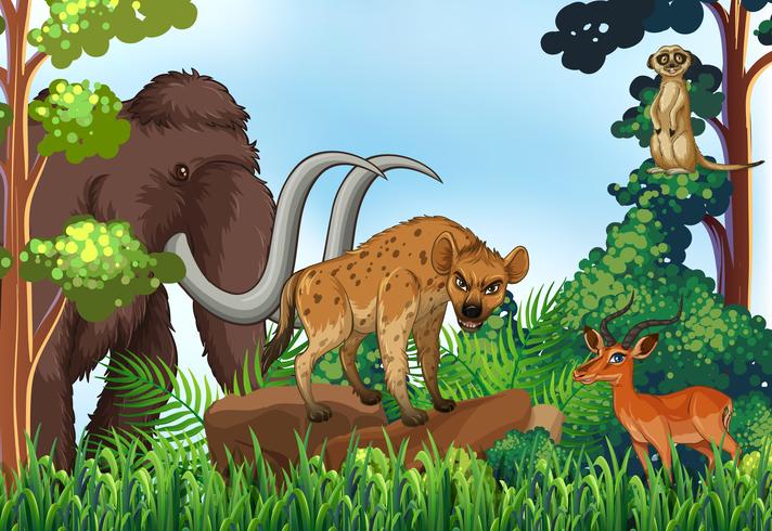 Animal y selva vector