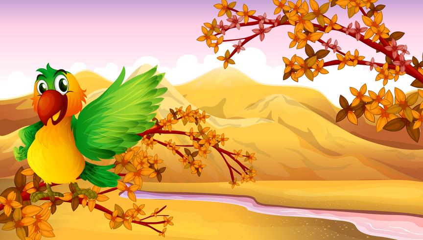 A parrot at the tree near the river vector