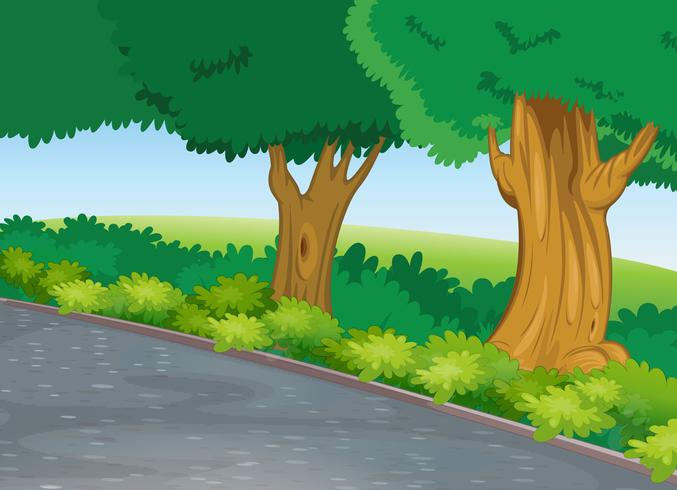 tree beside road vector